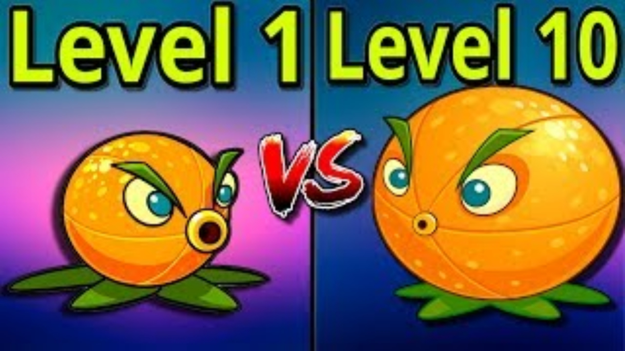 植物大战僵尸:一级充能柚子vs满级充能柚子,伤害差多少?