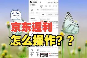 Download Video: 京东自己的返利平台叫什么？京东返利怎么弄