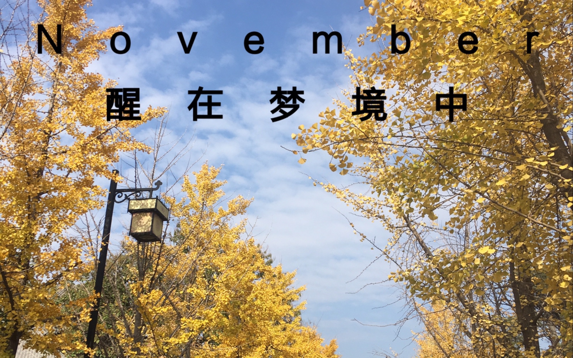 vlog 4 | 11月 | 醒在梦境中