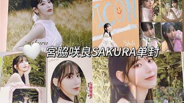 DICON LE SSERAFIM SAKURA 宮脇咲良 LE SSERAFIM ルセラフィム さくら 宮脇咲良
