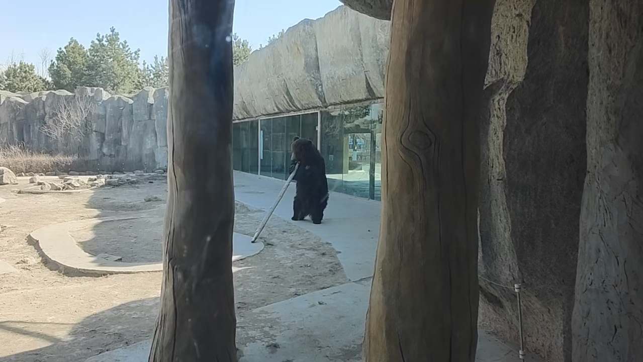 熊大熊二的装修日常