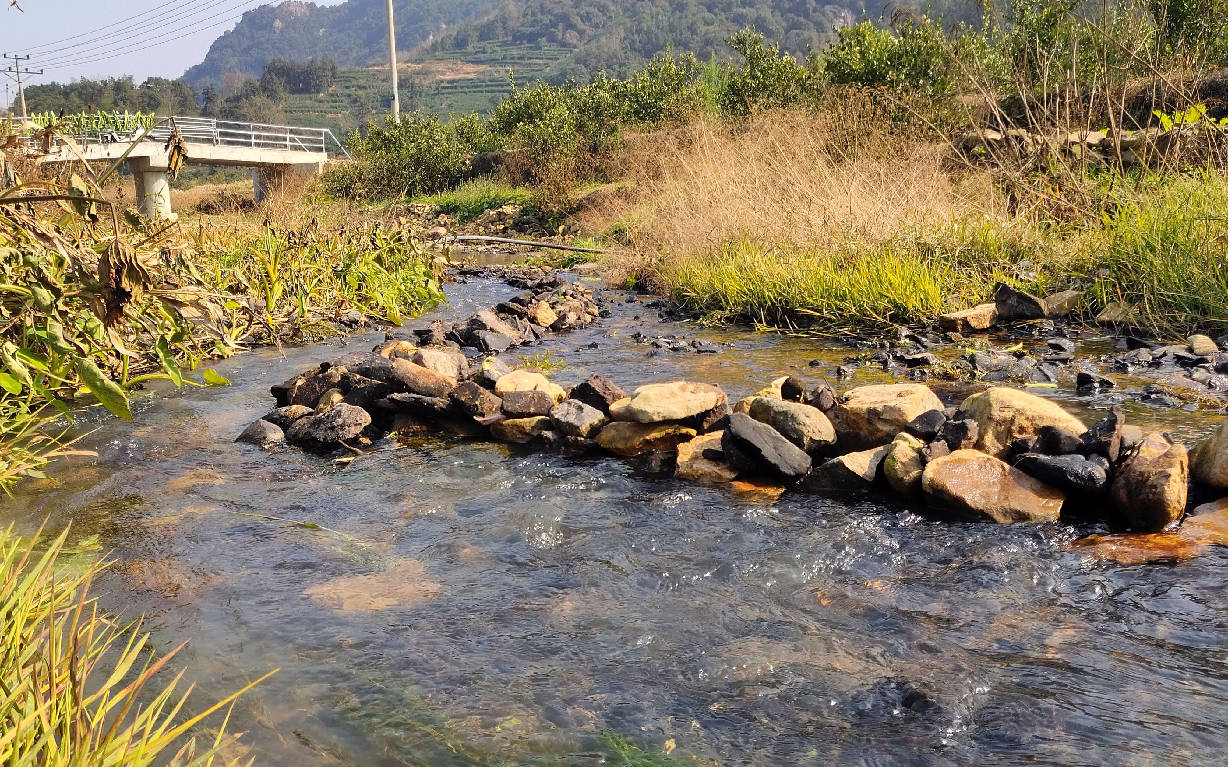 农村河流改造计划续续集今天的任务依然是搬石头摆石头