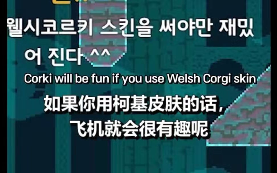 【中字】残忍拒绝柯基的相赫(T1短视频)电子竞技热门视频