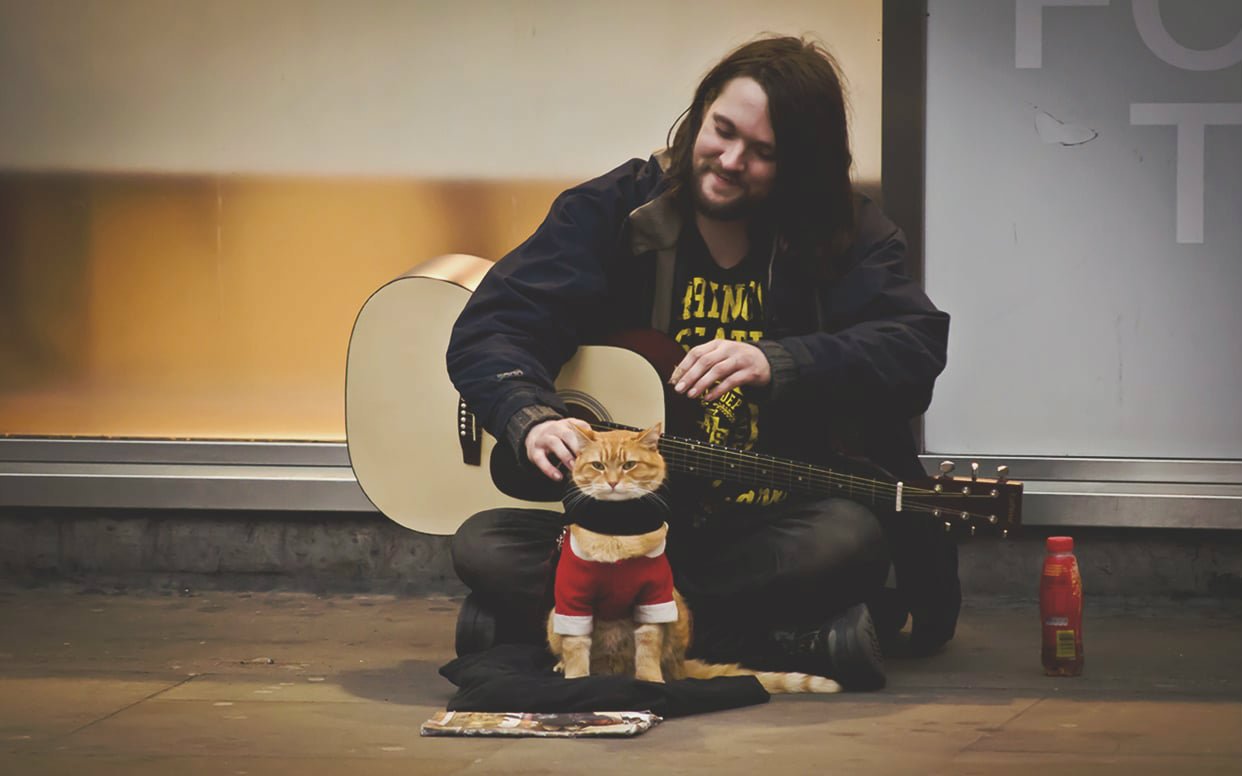 流浪猫鲍勃中文预告开眼eyepetizer160624期