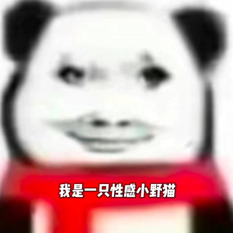 别再叫我单身狗了 我是食堂干饭闪电狼