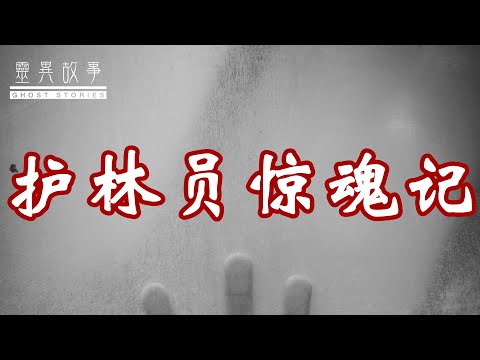 【灵异诡事录】护林员惊魂记哔哩哔哩bilibili