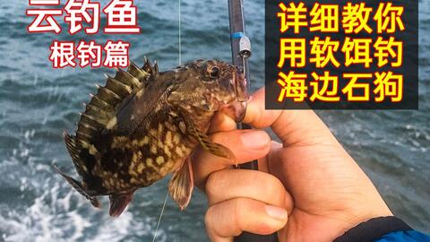 日本防波堤穴钓各类穴栖性鱼 哔哩哔哩 Bilibili 日本防波堤穴钓各类穴栖性鱼 哔哩哔哩 Bilibili