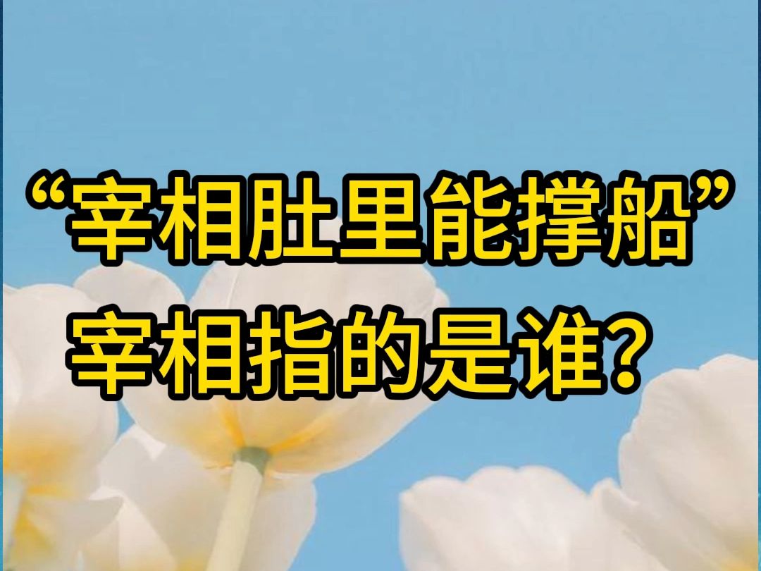 “宰相肚里能撑船”宰相指的是谁?哔哩哔哩bilibili