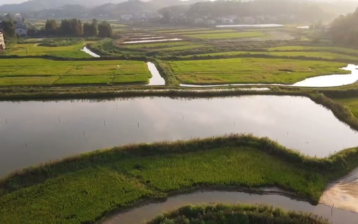 【乡村生活】沧山水库的生态是真棒!航拍最美家乡,稻田风光,治愈系风景哔哩哔哩bilibili