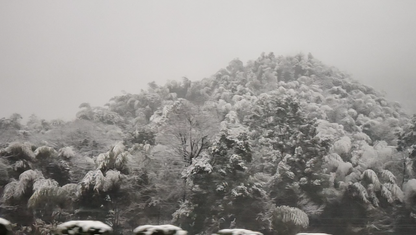 我的家乡下雪啦!【萍乡—上栗】哔哩哔哩bilibili