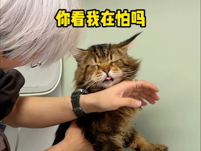 巨型尤物来咯海报