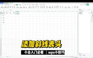 Download Video: Excel添加斜线表头-wps小技巧-封面