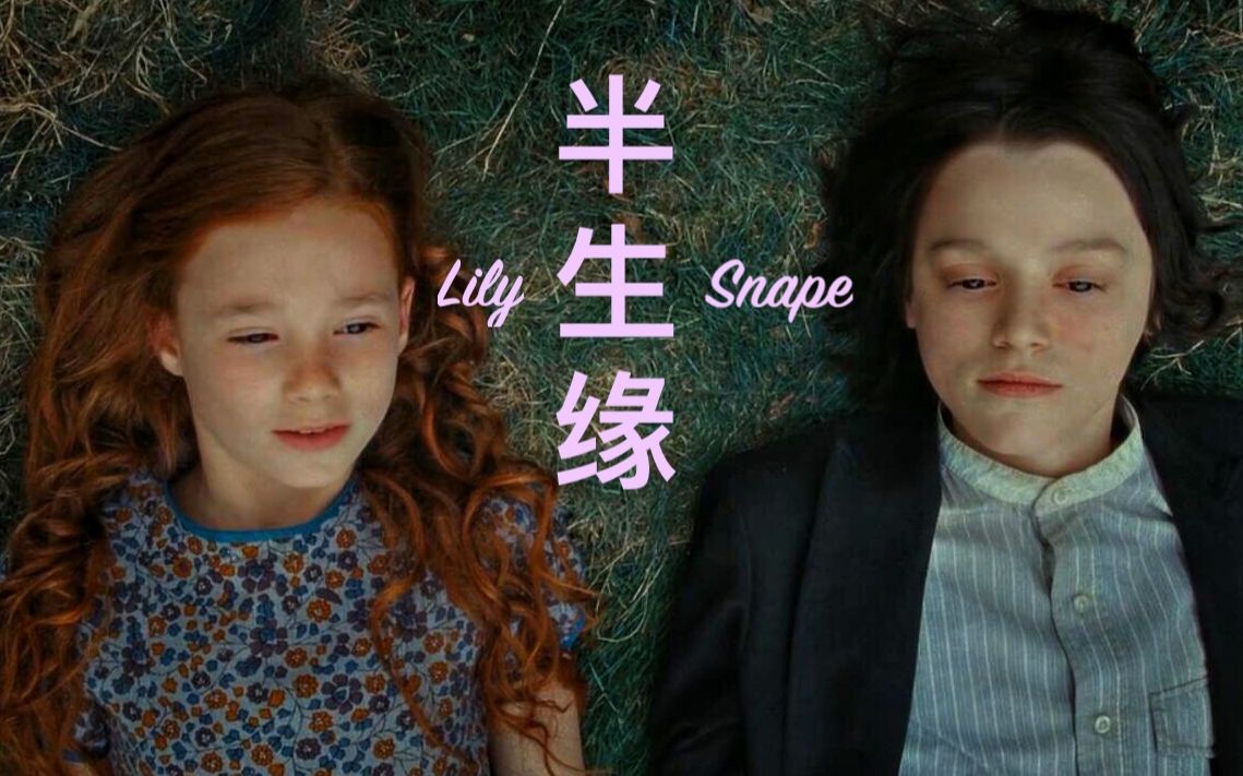 【斯内普 莉莉】【always】【半生却是永远--半生缘】斯内普混剪