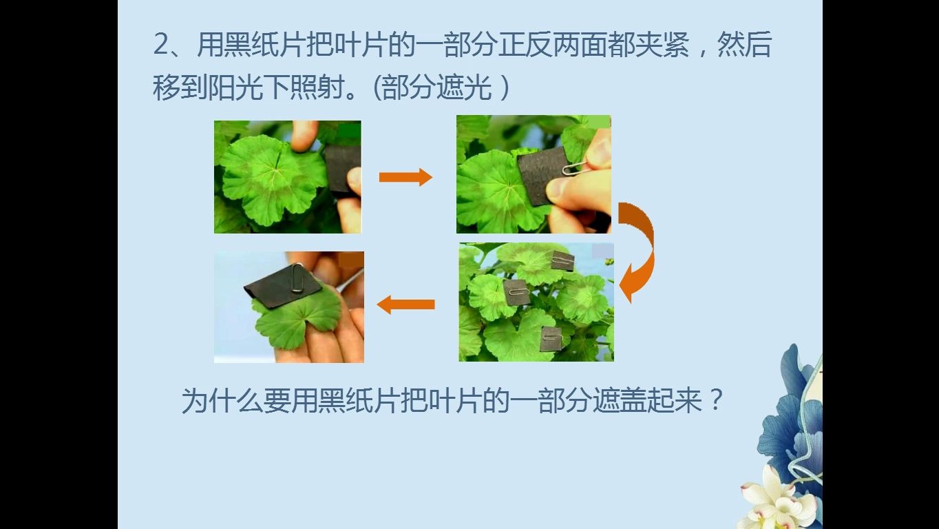 21绿色植物的光合作用和呼吸作用(2)寿光哔哩哔哩bilibili