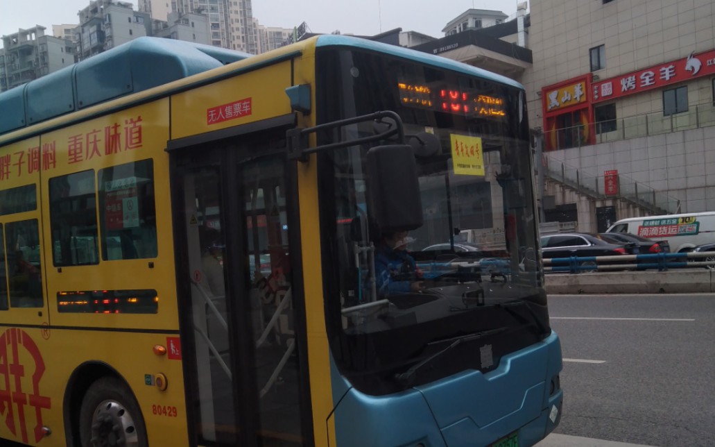 重庆公交181路(肿瘤医院-石门齐祥灯饰)跨江展望