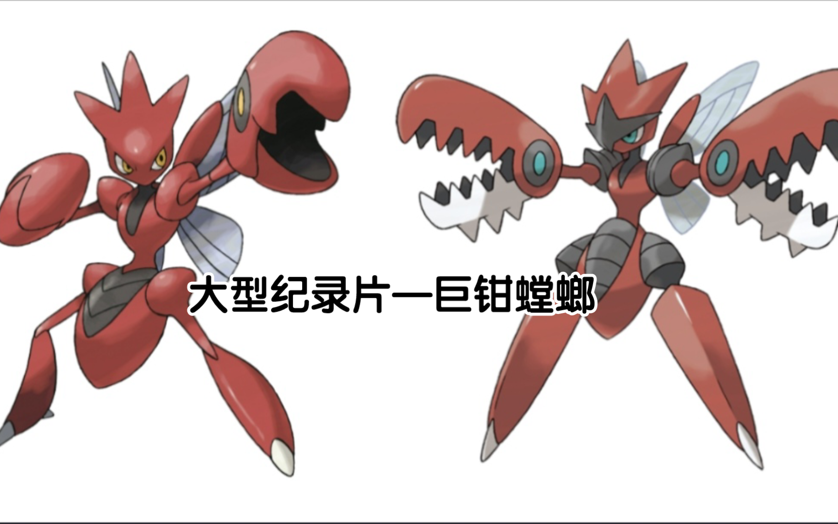 宝可梦大型纪录片——巨钳螳螂传奇