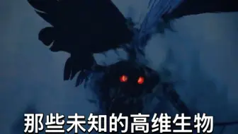 那些未知的高维度生物