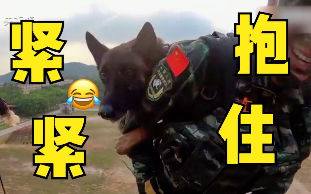 [图]高空索降军犬紧紧抱住特战队员胳膊 心疼又好笑