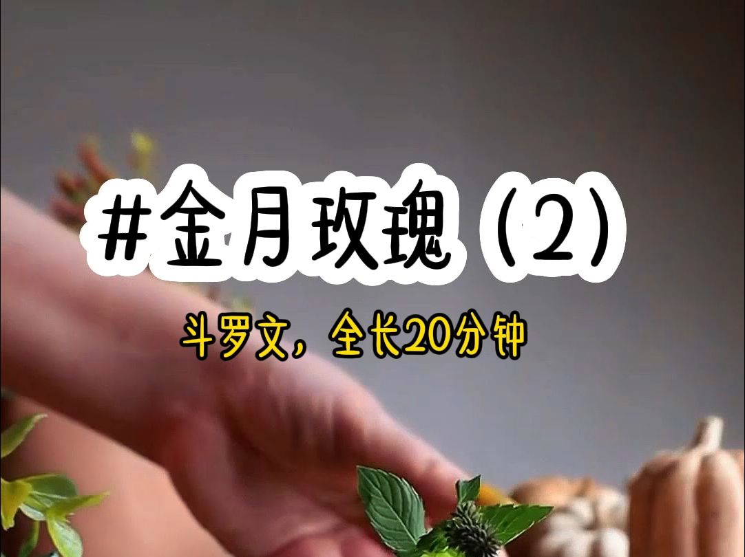 [图]茗《金月玫瑰》第2集