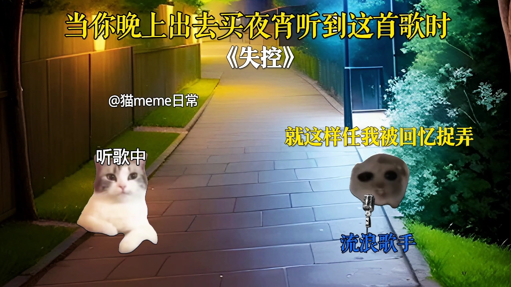 当你晚上出去买夜宵听到这首歌时-猫meme日常方式-猫meme日常方式-哔哩哔哩视频