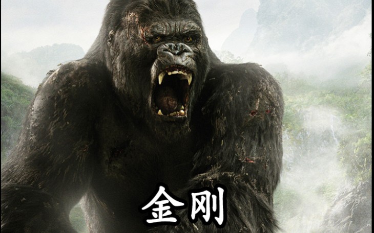 一口气带你看完,05版《金刚》