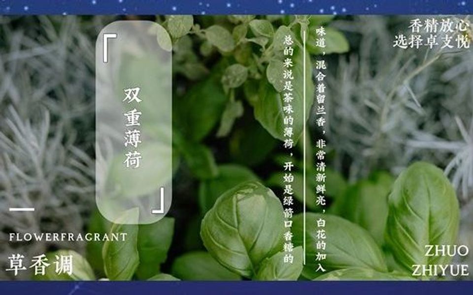 双重薄荷哔哩哔哩bilibili