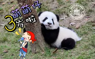 Video herunterladen: 【大熊猫萌兰】四个月大的萌萌仔和月亮产房的小伙伴们～萌出血