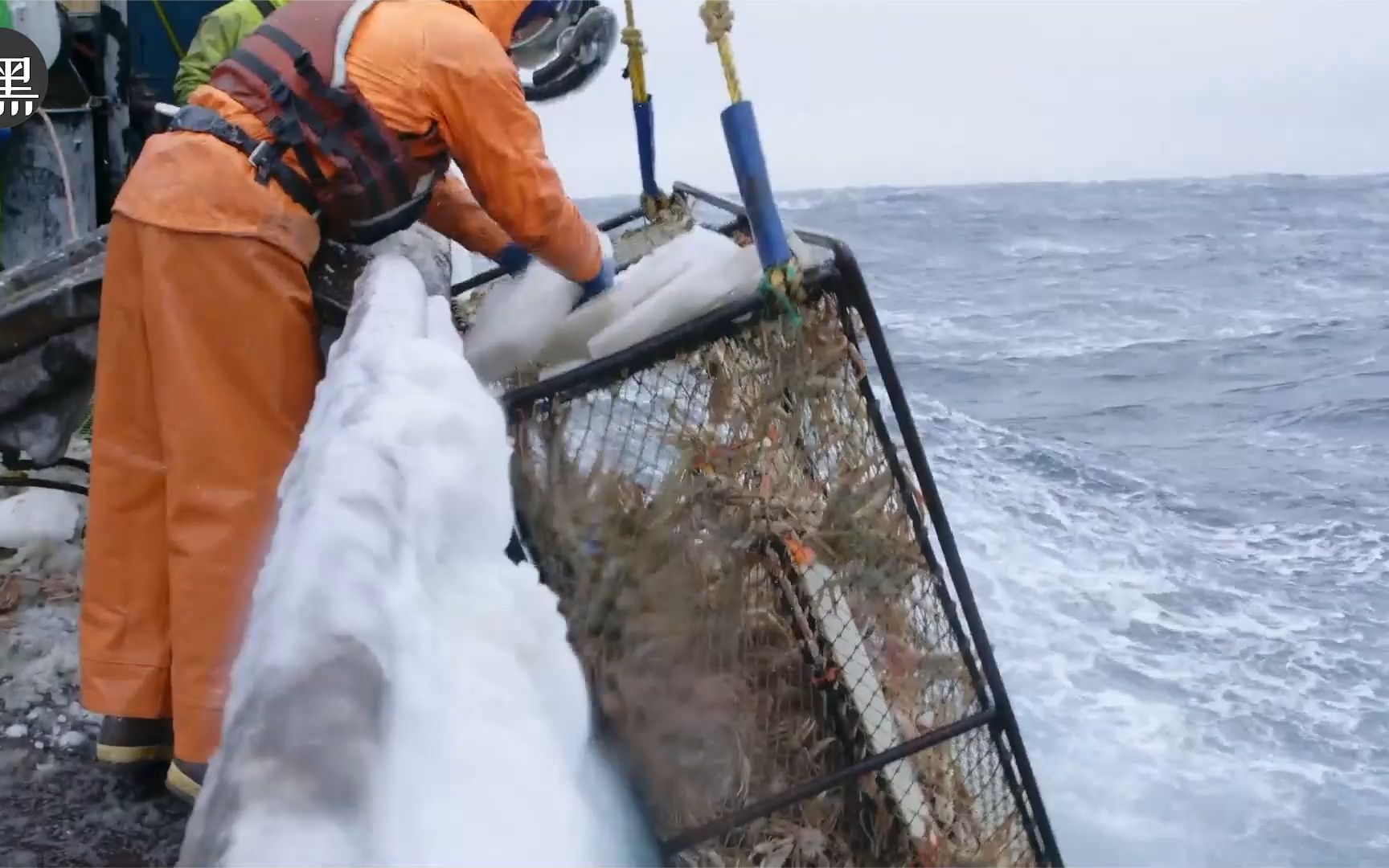 真实记录阿拉斯加捕蟹人在零下十几度的白令海捕捞松叶蟹s15e13