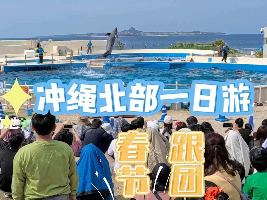 冲绳北部一日跟团游美丽海水族馆美国村哔哩哔哩bilibili