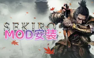 Download Video: 《只狼》MOD安装详细讲解