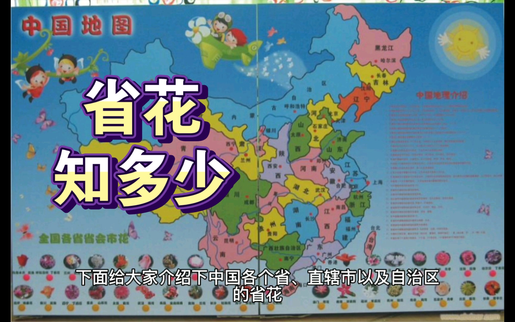 各省省花知多少快来看看你在的省份省花是什么