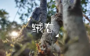 下载视频: “赠你一曲轻羽般扬起的暖春”