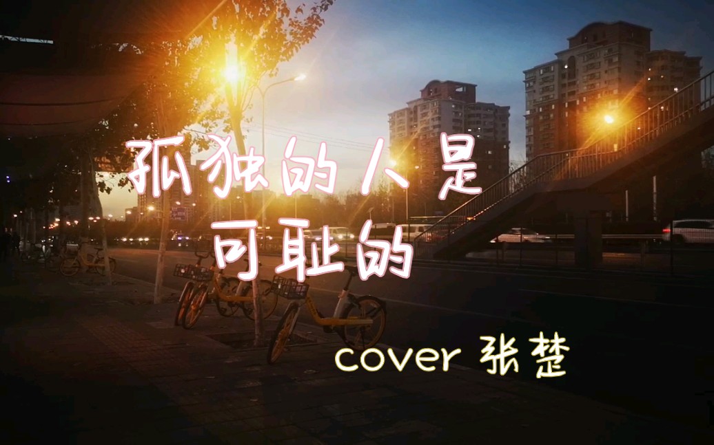 孤独的人是可耻的cover张楚吉他弹唱