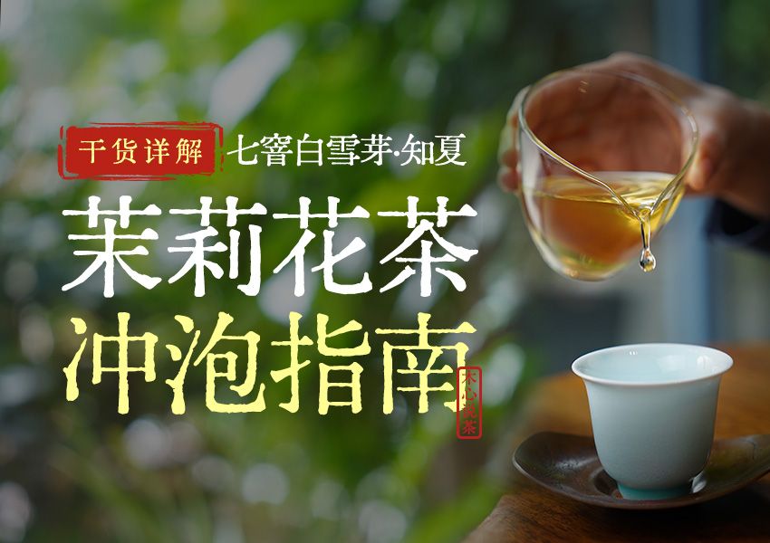 【冲泡入门】茉莉花茶冲泡讲解+示范,零基础有手就学得会|低温还是高温?盖碗还是杯泡?一篇教会你怎么泡茉莉花茶更好喝?哔哩哔哩bilibili