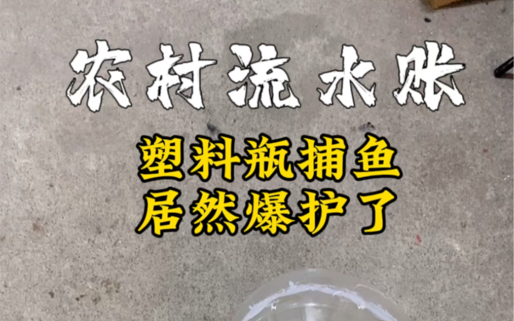 大家好,我是拍什么都像流水账的张大侠,今天用空油瓶做了几个捕鱼神器,居然爆护了!#我的乡村生活 #捕鱼的快乐哔哩哔哩bilibili