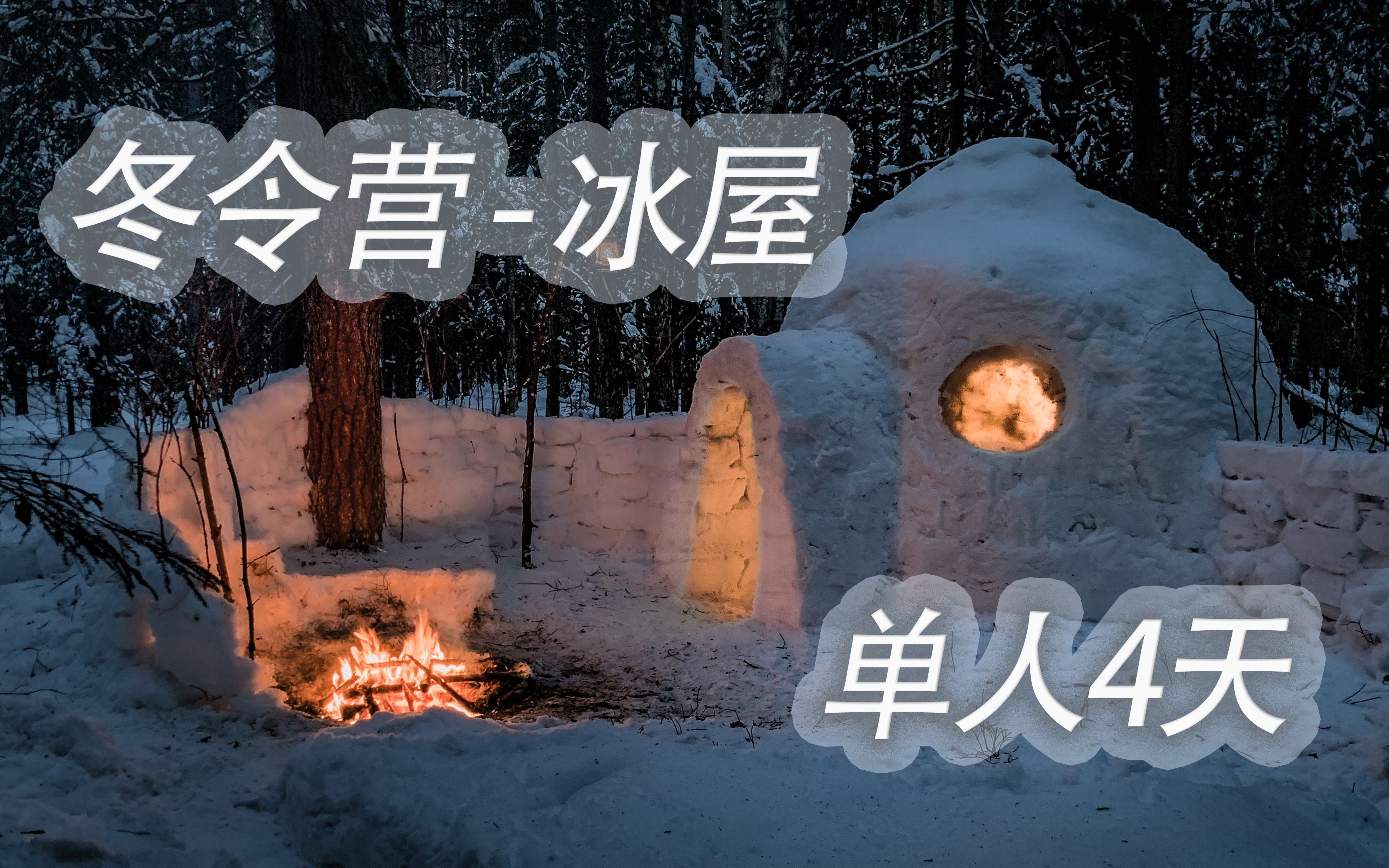 4 天单人冬令营  冰屋建造  白桦茸采摘  雪地避难所  4 Days Solo Winter Camp  Igloo build  Chaga哔哩哔哩bilibili