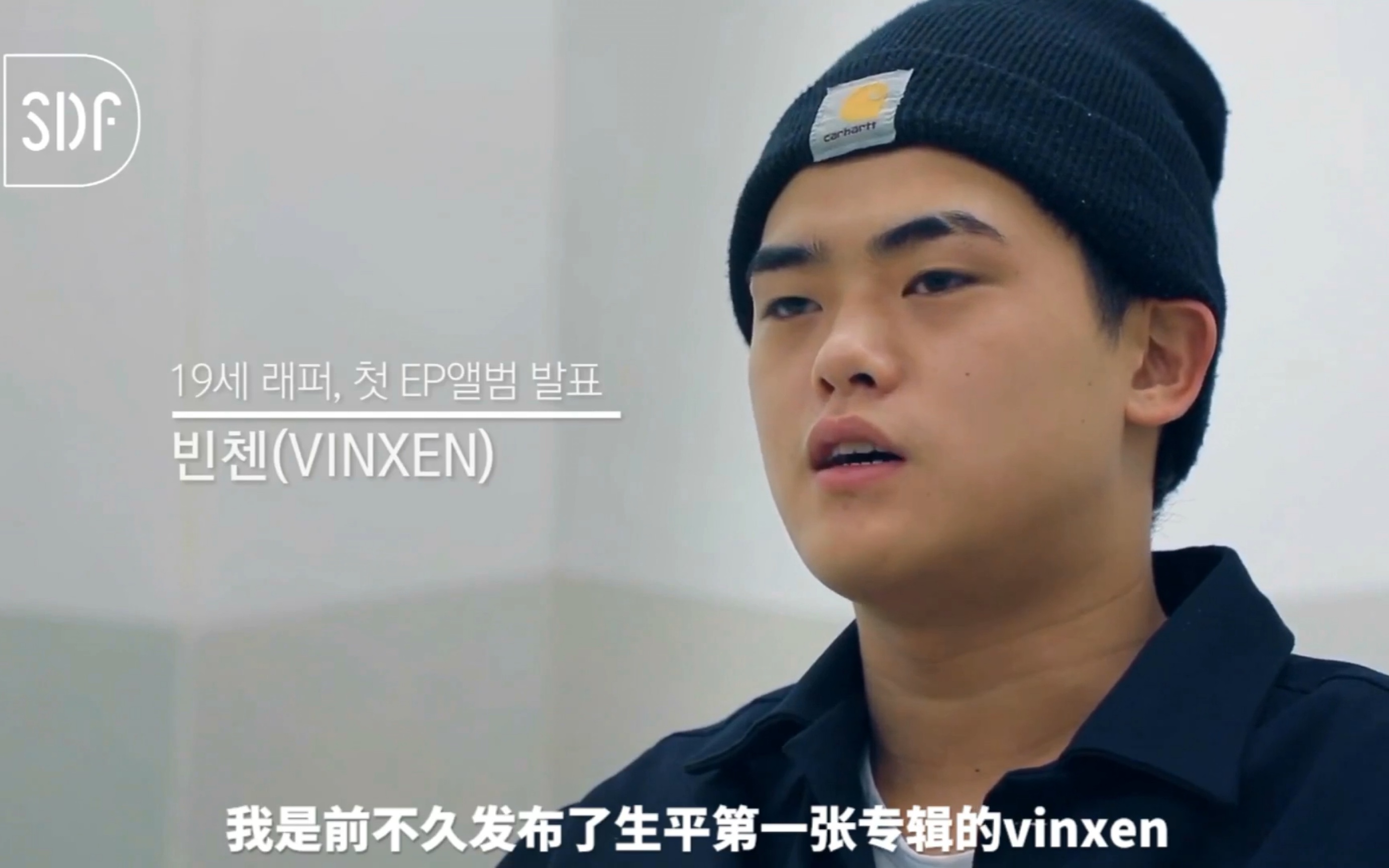 中字sdf采访歌唱疼痛的10代rappervinxen李炳宰