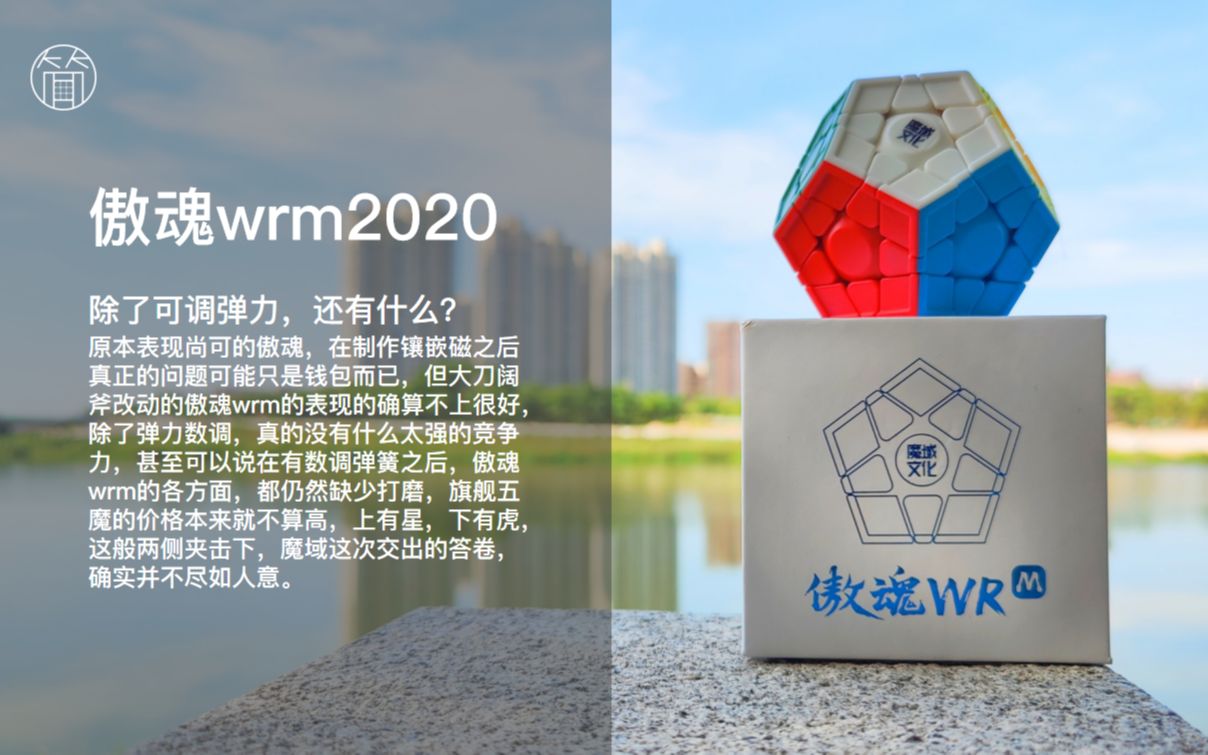 【简ⷨ𕋣€‘除了可调弹力,还有什么?——傲魂WRM2020哔哩哔哩bilibili