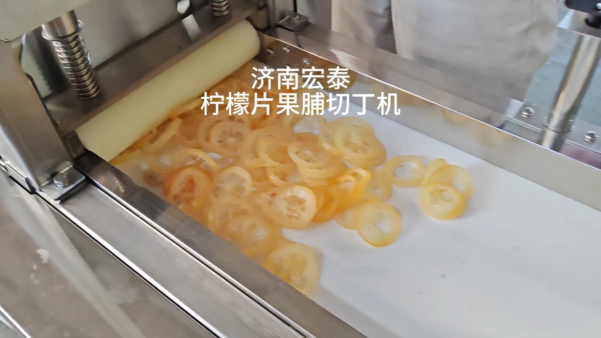 即食柠檬片果脯切丁机 柠檬干蜜饯切丁机 切果脯丁机