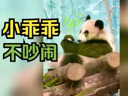 Скачать видео: 熊猫宝宝的自娱自乐时光