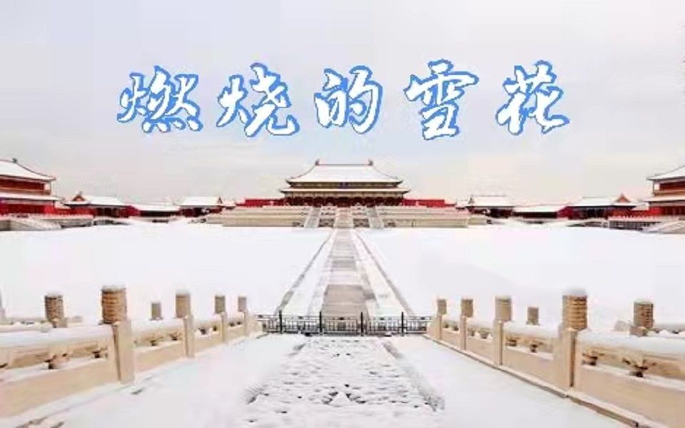 [图]手语《燃烧的雪花》MV 献给2022年北京冬奥冬残奥会所有志愿者