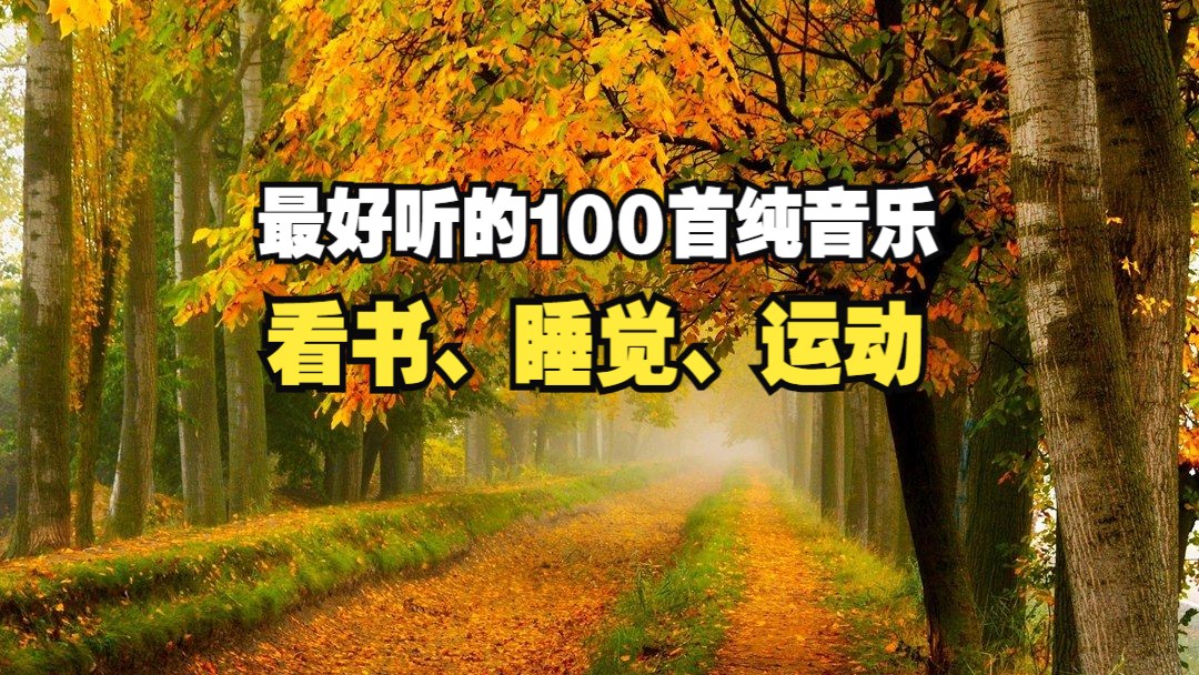 【时长6小时】世界上最好听的100首纯音乐,看书、睡觉、运动!哔哩哔哩bilibili