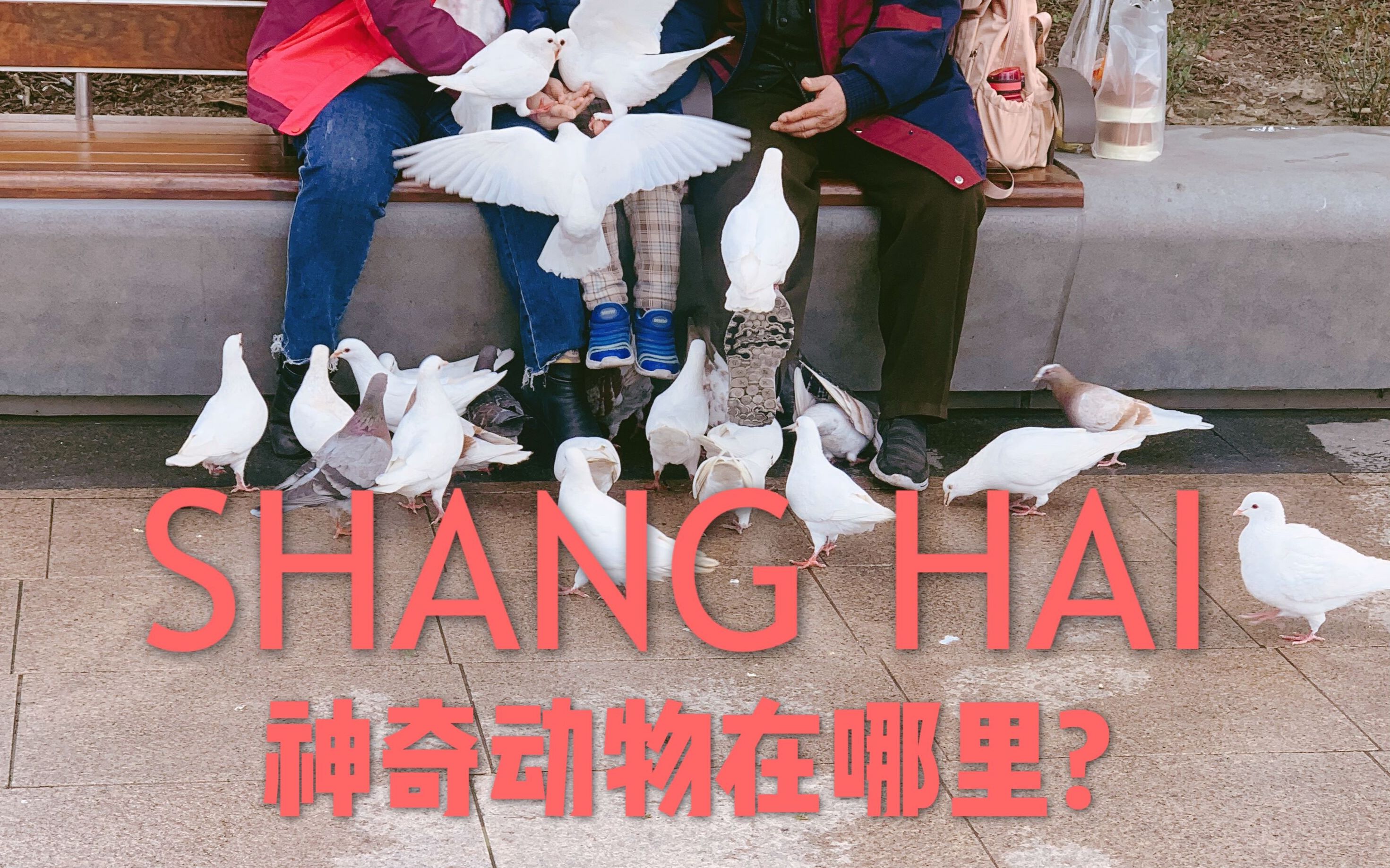  第1次疫情是什么时候爆发的(第一次疫情是几月份)