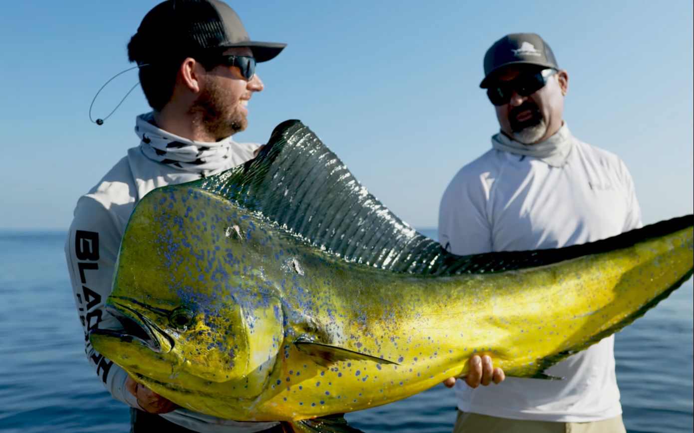 渔家大师blacktiph从未见过如此体积的鬼头刀