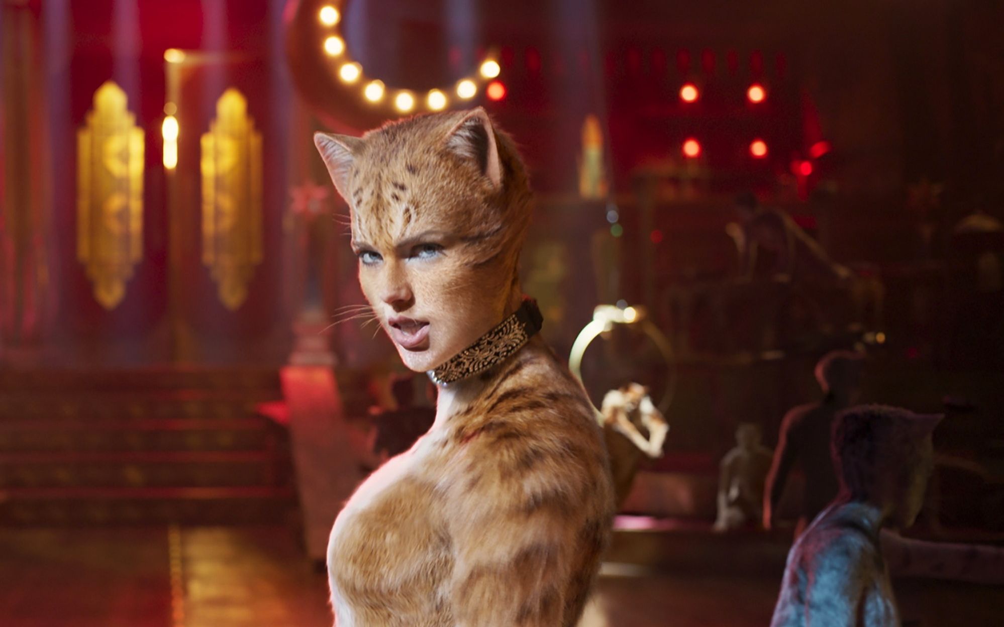 【taylor swift】霉霉 猫(cats) 单人cut