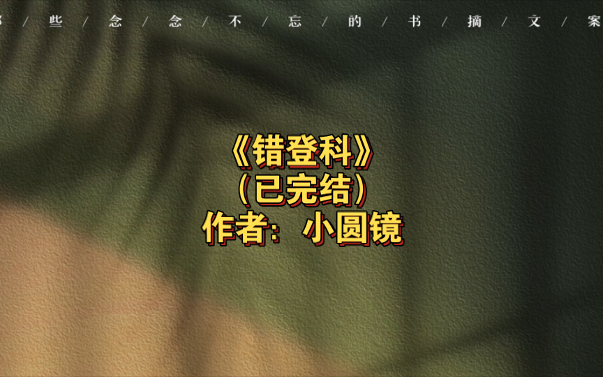 《错登科》已完结 作者:小圆镜,欢喜冤家 甜文 科举 正剧 先婚后爱