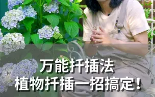 Download Video: 万能扦插法，植物扦插一招搞定！