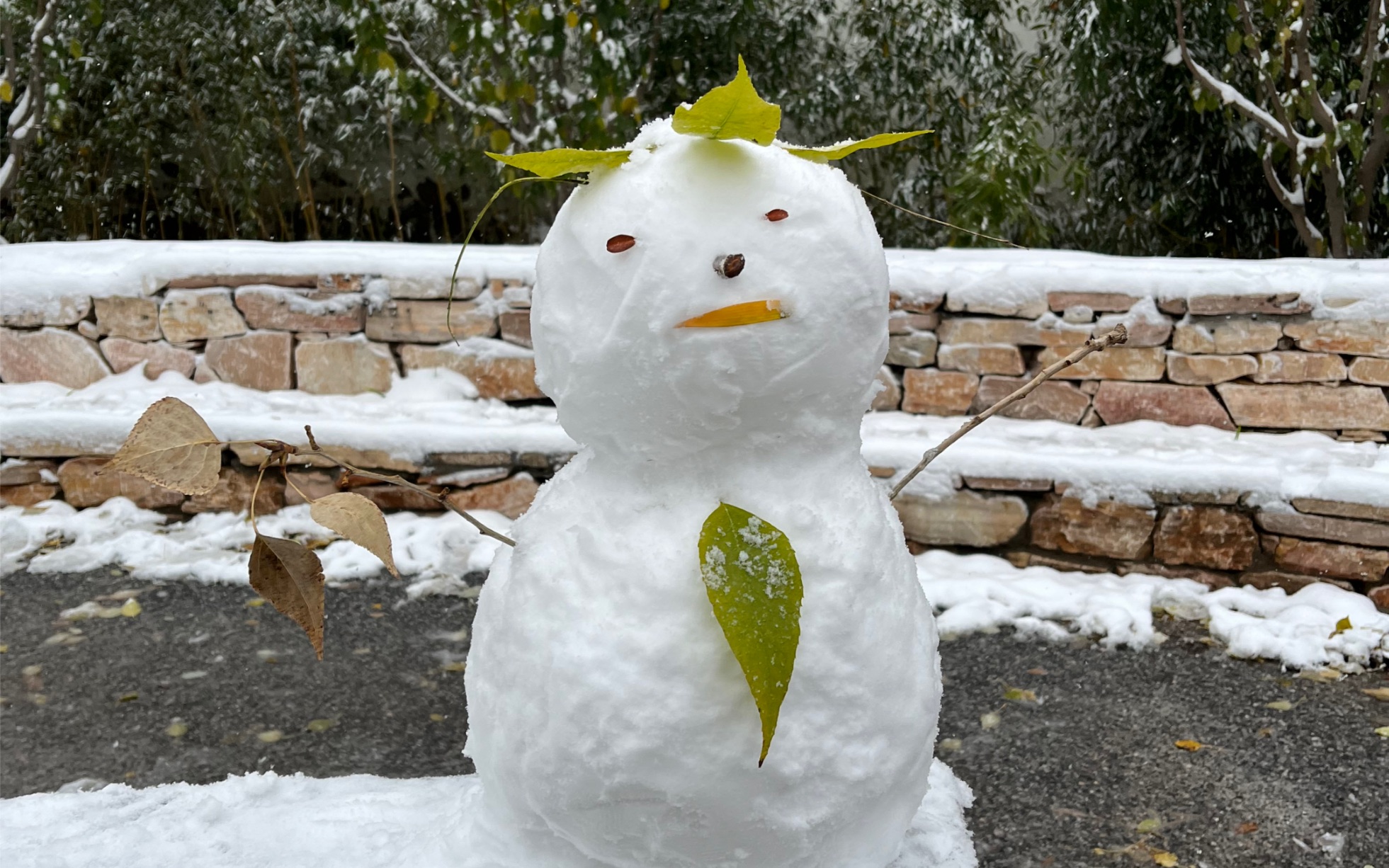 北京2021下的第一场雪·堆雪人呀
