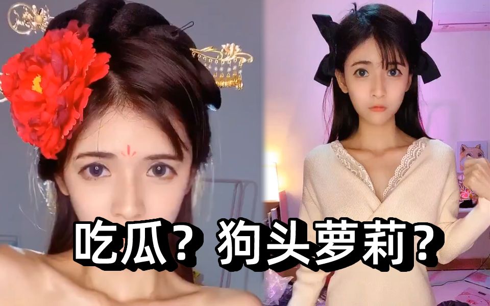 网红狗头萝莉~这里的狗,真的一块钱随便摸吗?哔哩哔哩bilibili