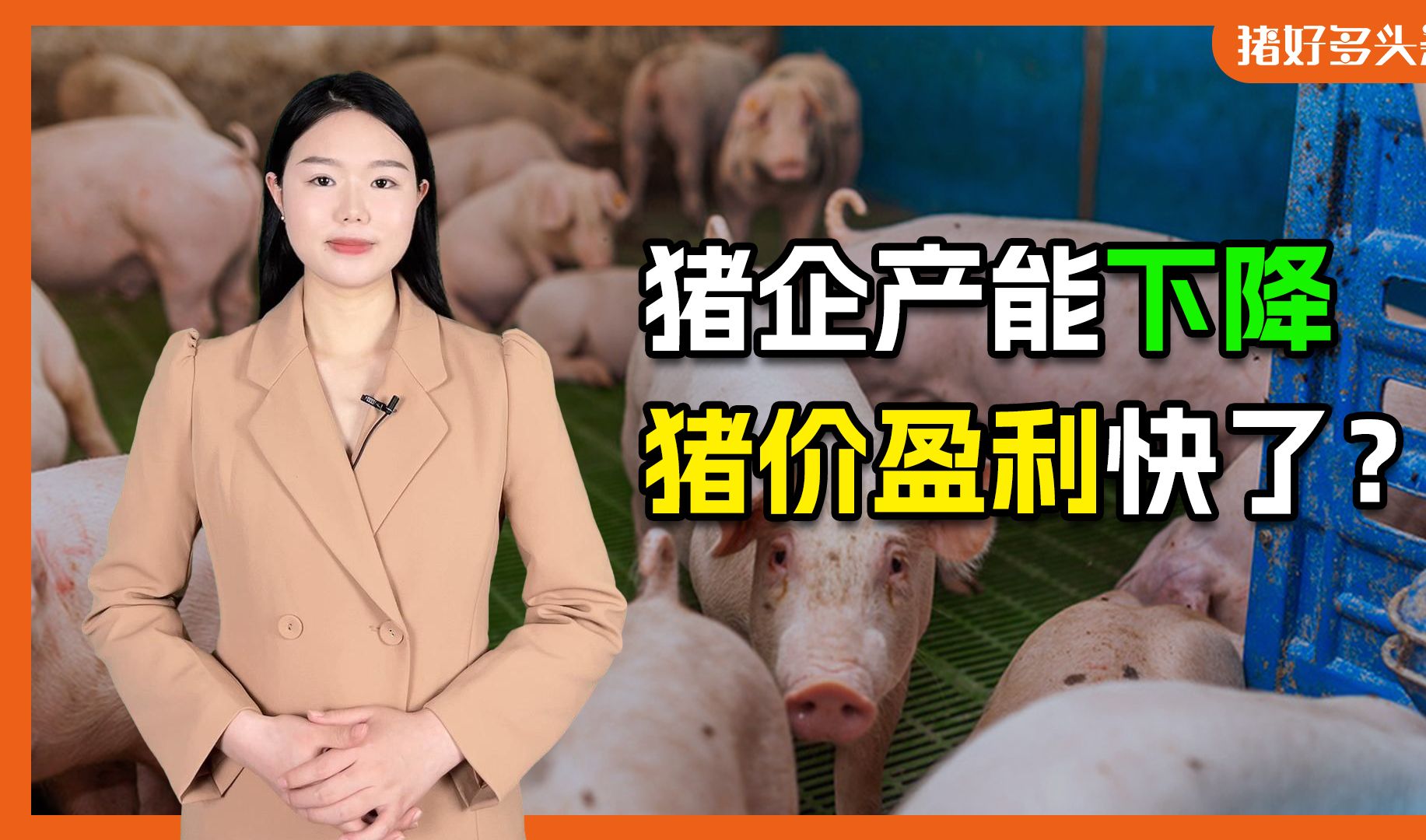 猪企出栏环比大降!农业农村部:供需进一步改善,二季度有望扭亏哔哩哔哩bilibili